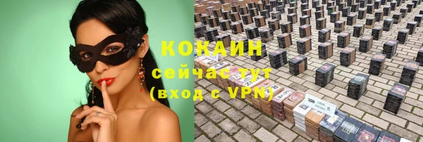 мяу мяу мука Белокуриха